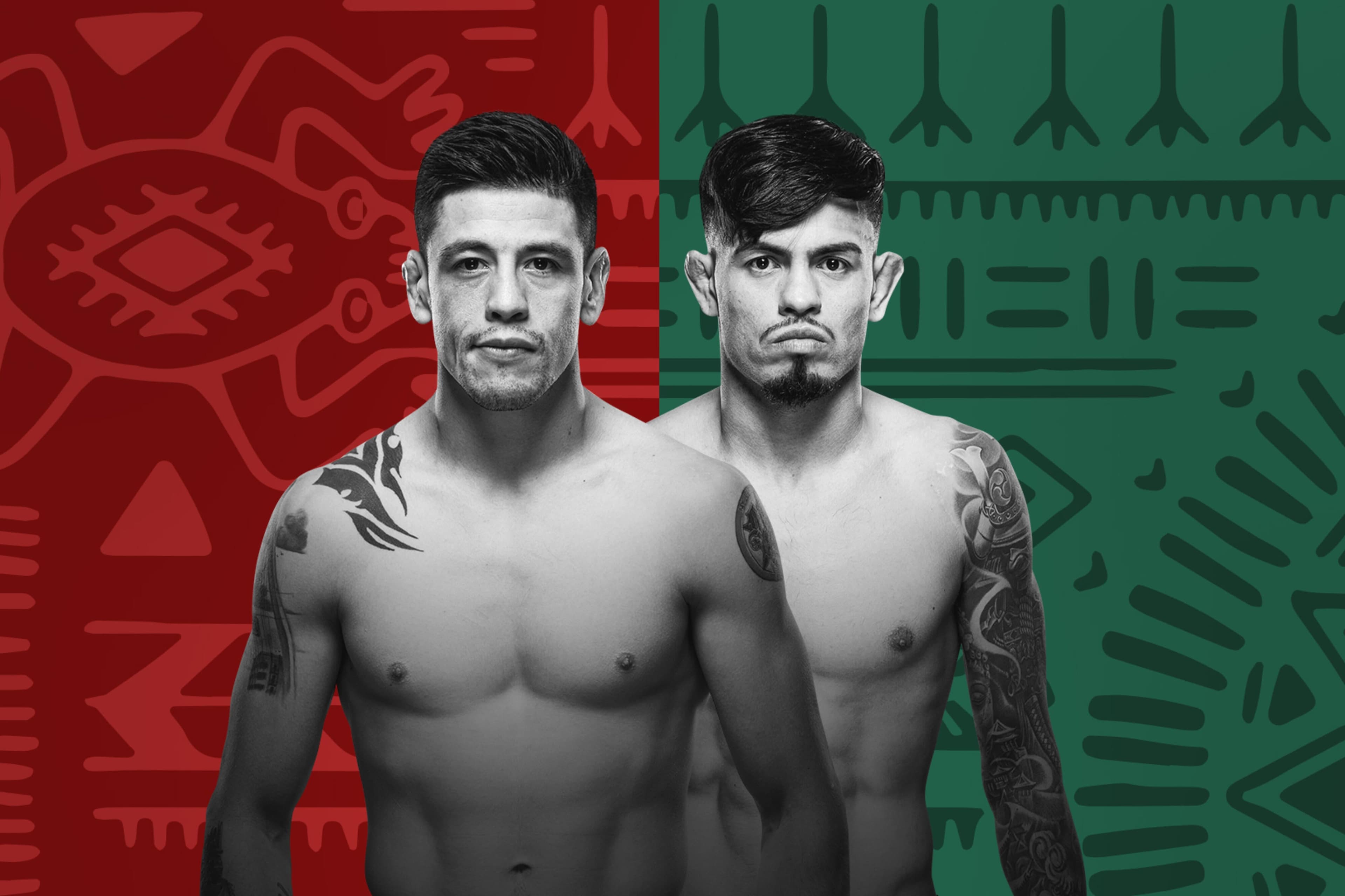UFC Fight Night
Moreno
vs
Royval 2