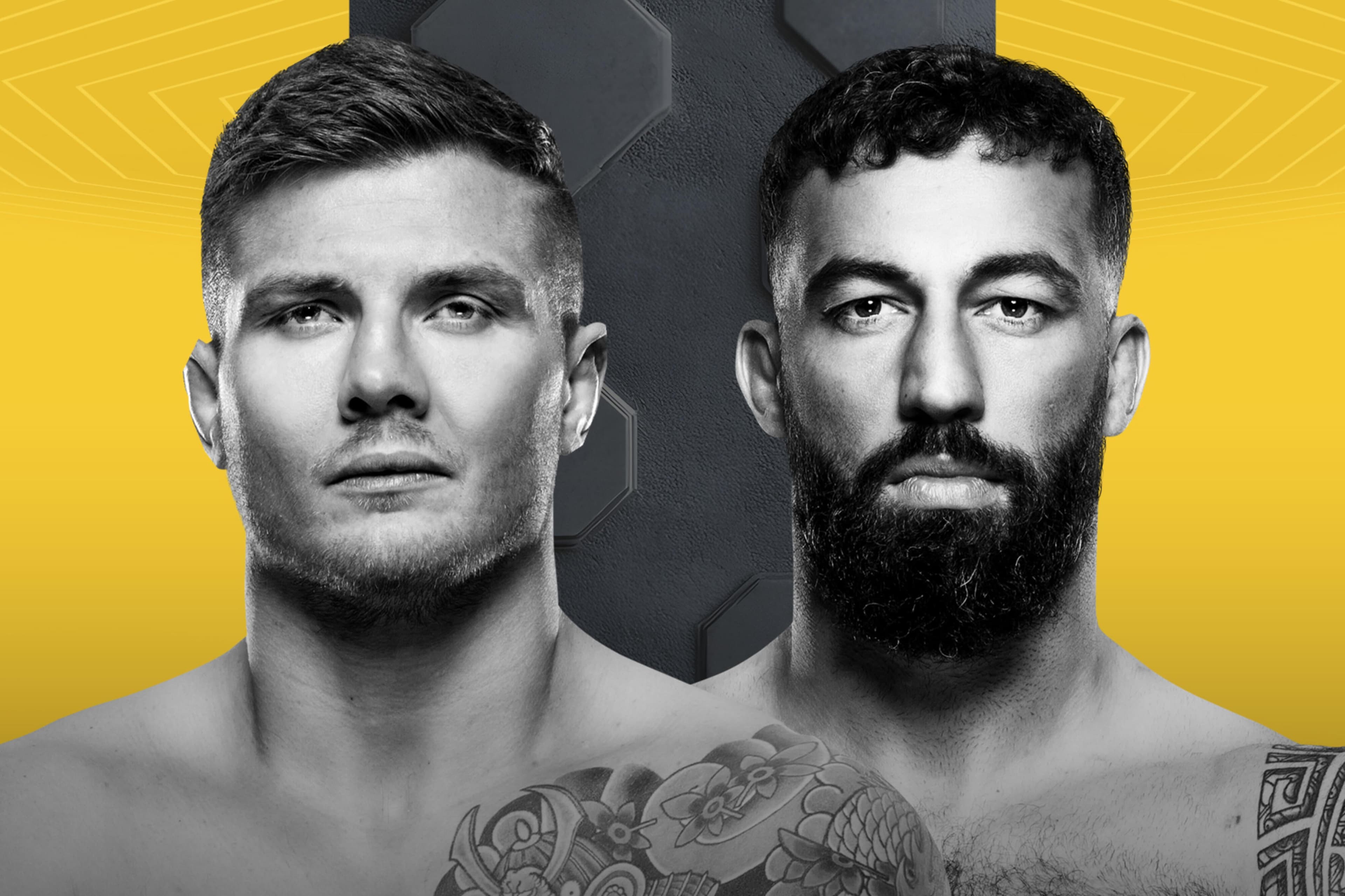 UFC Fight Night
Vettori
vs
Dolidze 2