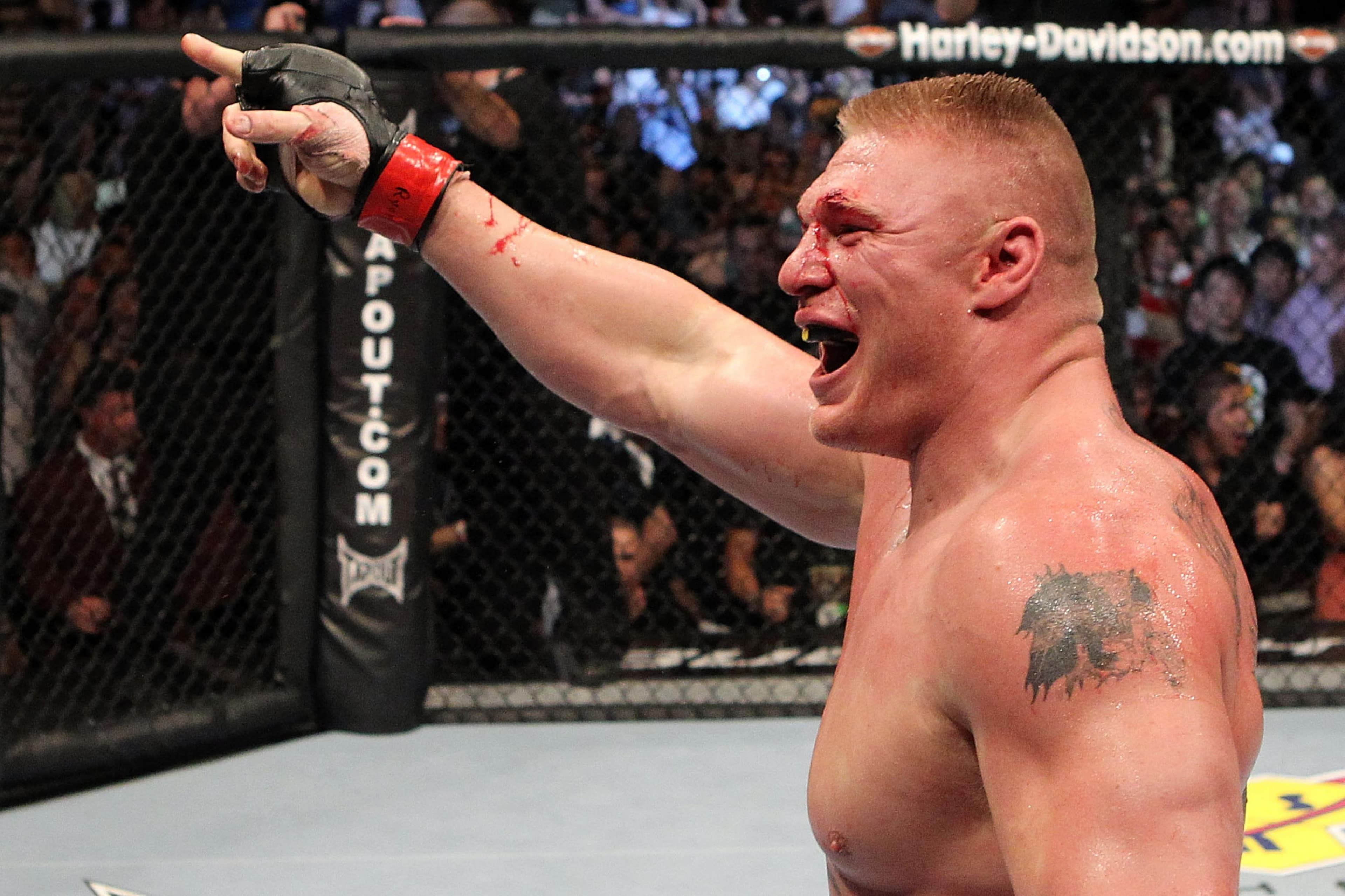 UFC 116
Lesnar
vs
Carwin