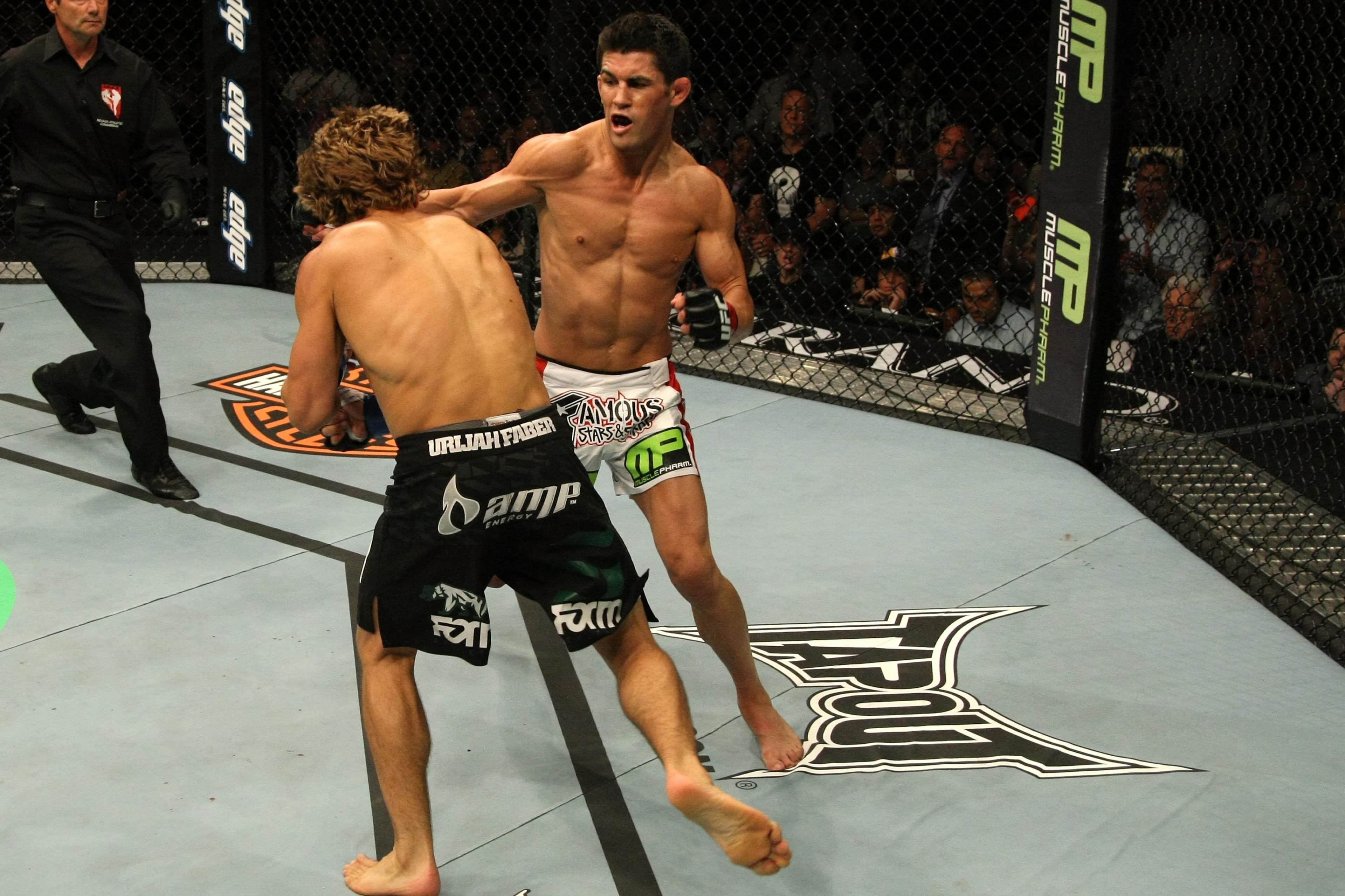 UFC 132
Cruz
vs
Faber