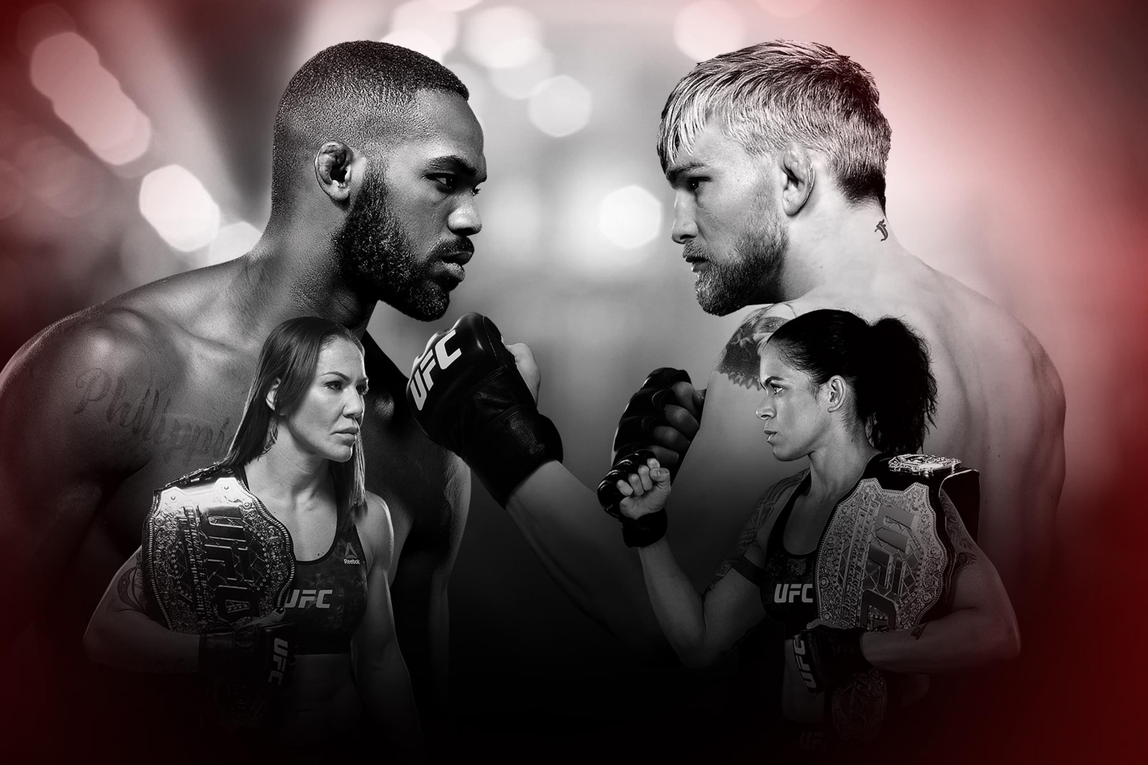 UFC 232
Jones
vs
Gustafsson 2