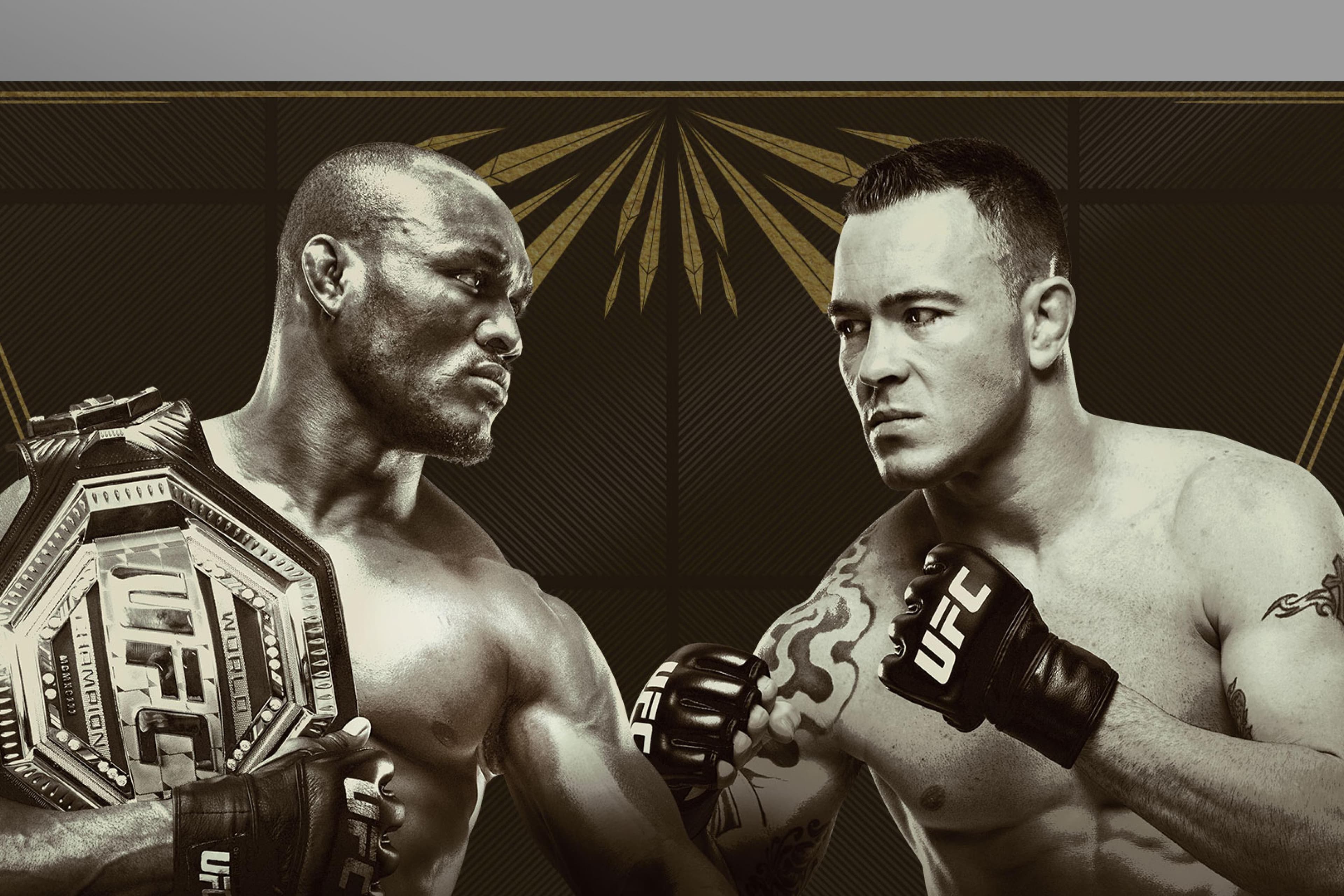 UFC 245
Usman
vs
Covington
