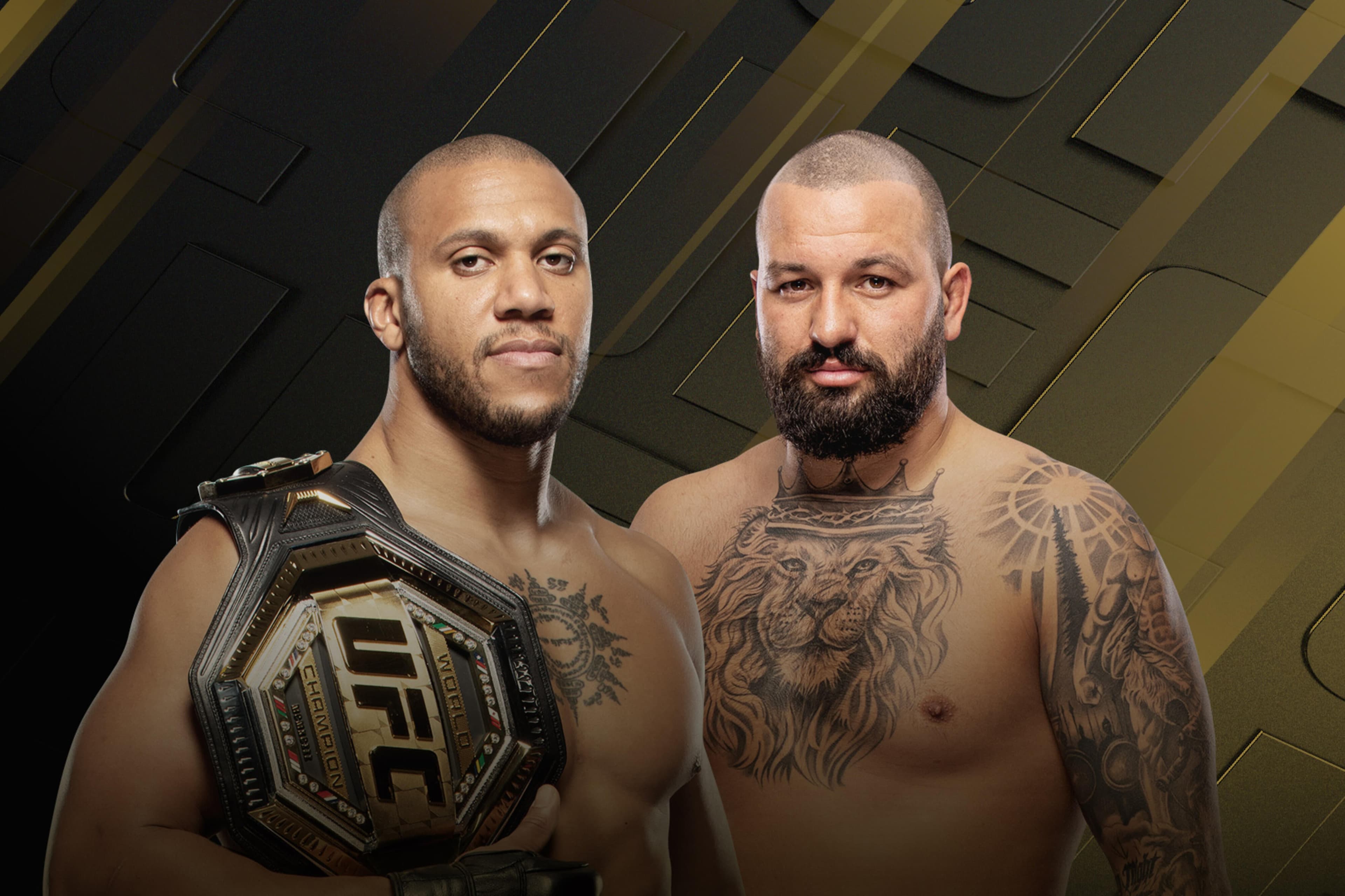 UFC 334 Gane vs Hokit