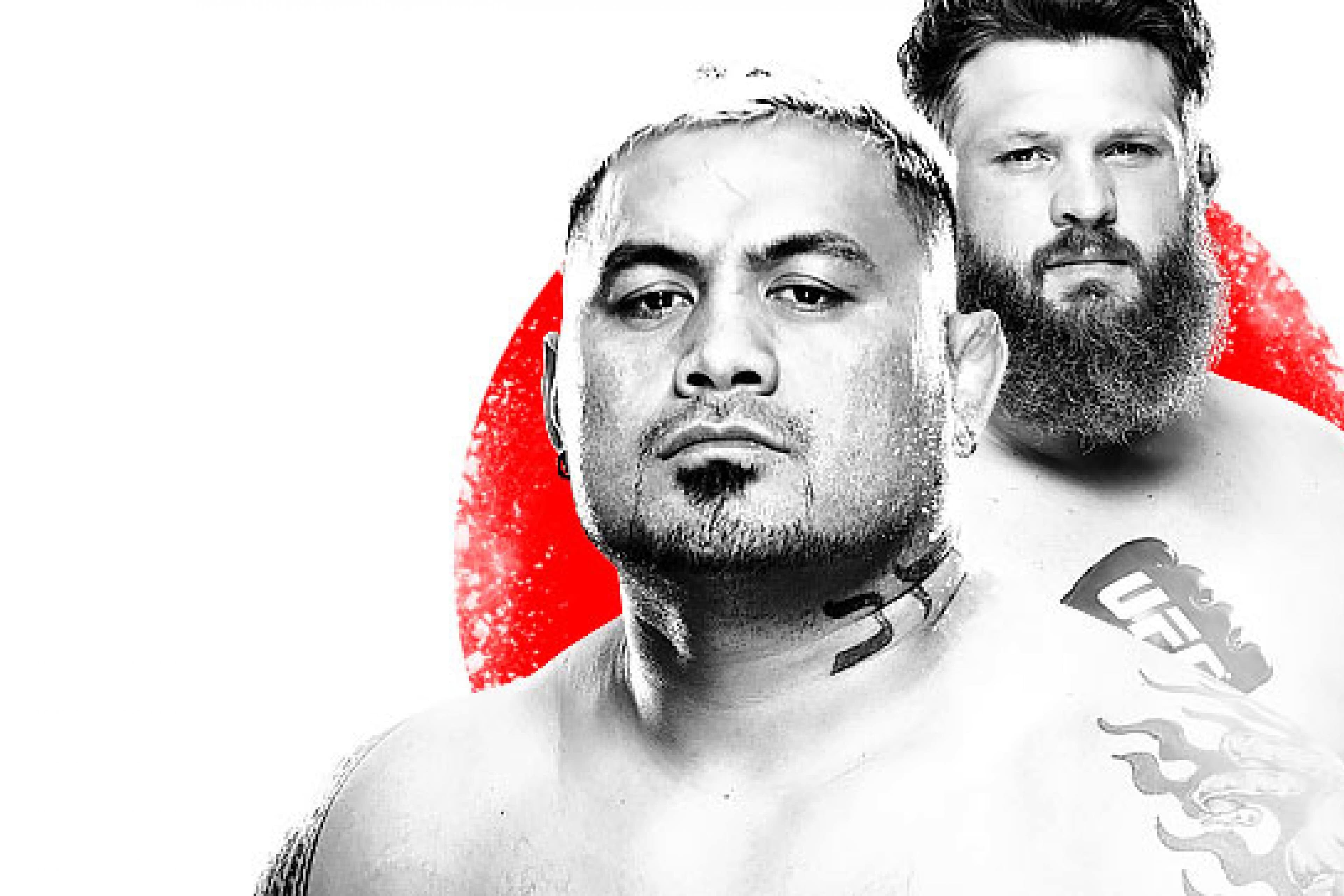 UFC Fight Night
Hunt
vs
Nelson